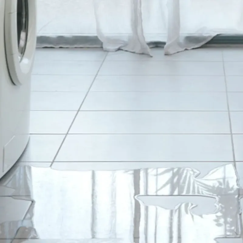 Appliance Leak Cleanup in McCormick County, SC