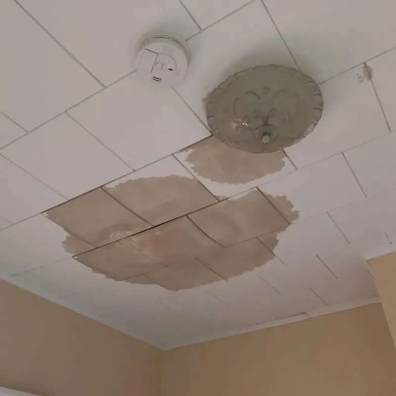 Ceiling Water Damage Repair in McCormick County, SC