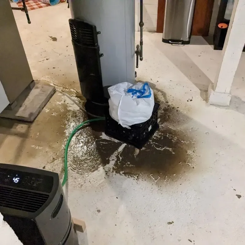 Sewage Backup Cleanup Service in McCormick County, SC